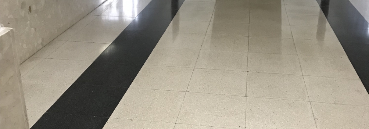 EMPRESA LIMPIEZA DE COMUNIDADES